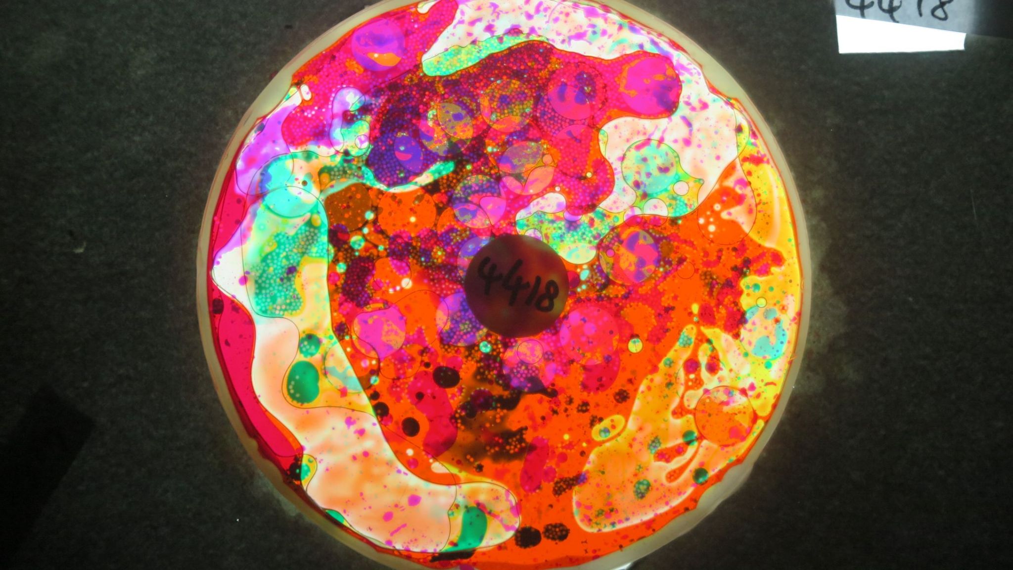 BV4418 bubble vision oil wheel